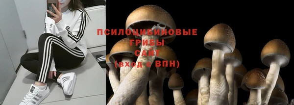меф Абдулино
